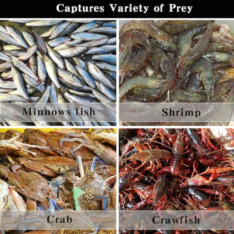 đš 50 % RABATT! đšAutomatiskt hopfĂ€llbart nĂ€t för sportfiskare â förstĂ€rkt fisknĂ€t i nylon, hĂ„vnĂ€t med teleskophandtag đŁâš