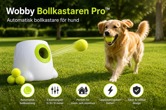 Wobby Bollkastaren Pro™ – Automatisk Bollkastare för Hund